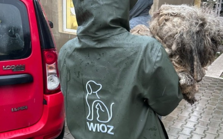 Osoba w płaszczu z logo, niosąca psa.