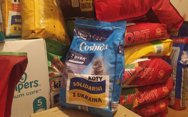 Zbiórka Jedziemy do Kijowa - zdjęcie główne
