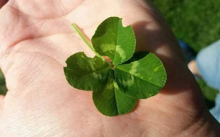 Zbiórka Pomoc ponad wszystko - zdjęcie główne