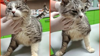 Zbiórka Oczko, życie go nie oszczędzało - miniaturka zdjęcia