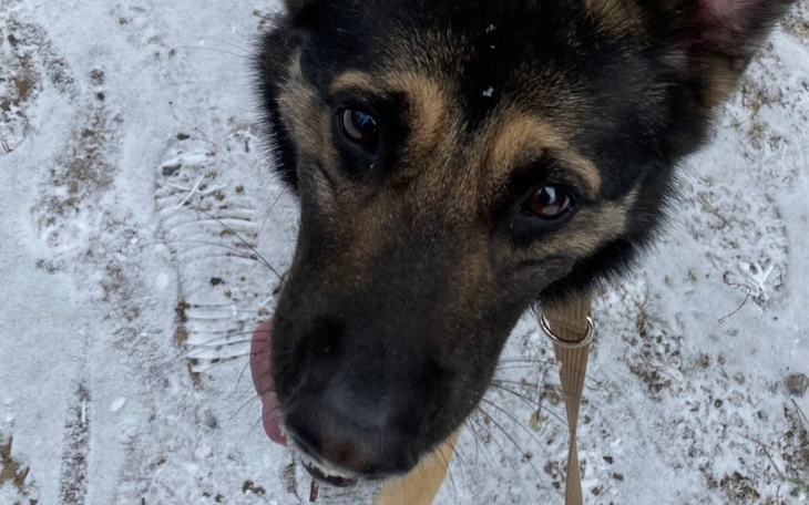 Zbiórka Leki Dla Celestyniaków - zdjęcie główne