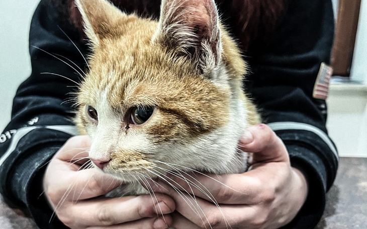 Zbiórka Budyń w walce o życie - zdjęcie główne