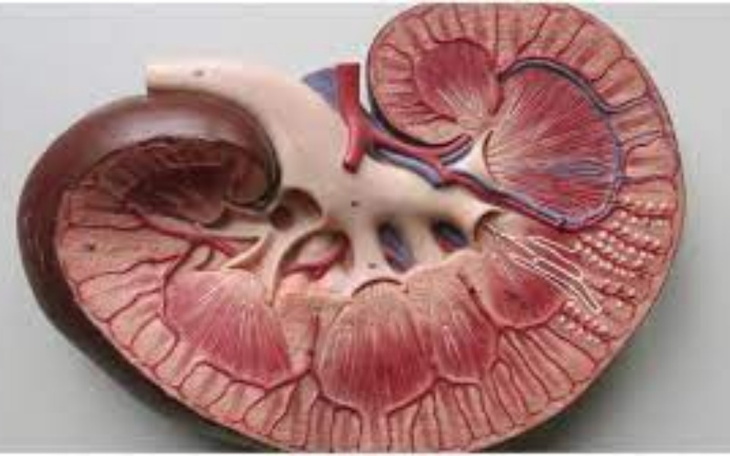 Zbiórka na valoranta - zdjęcie główne