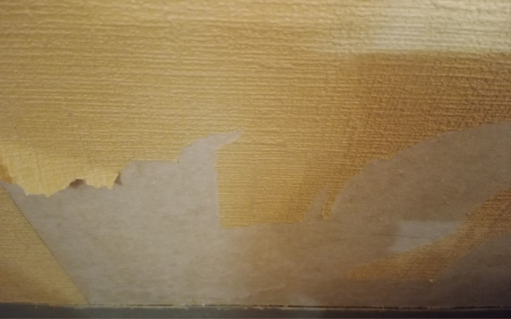 Zbiórka Remont chaty - zdjęcie główne