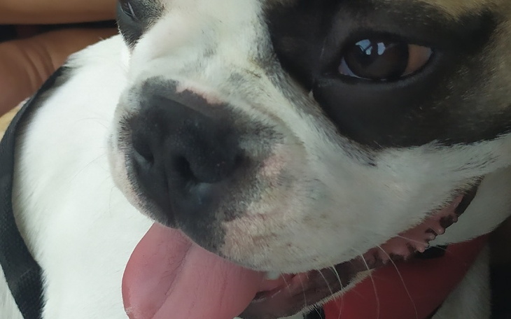 Zbiórka Pomoc dla Edusia - zdjęcie główne