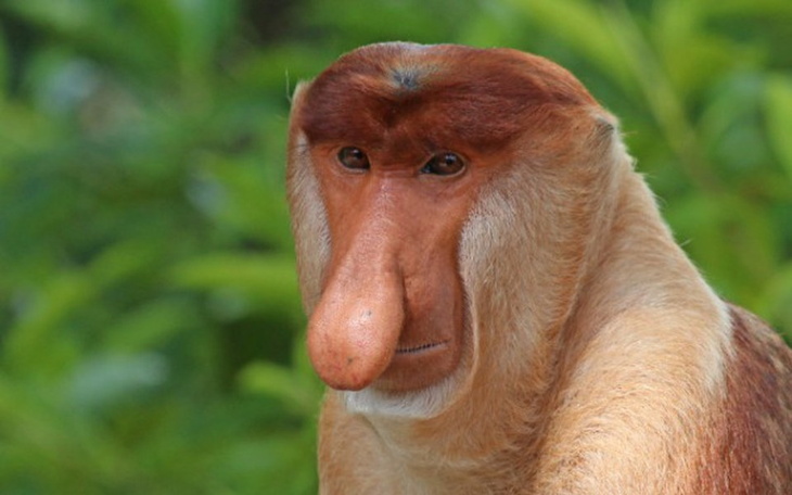 Zbiórka Na dobra zabawę - zdjęcie główne