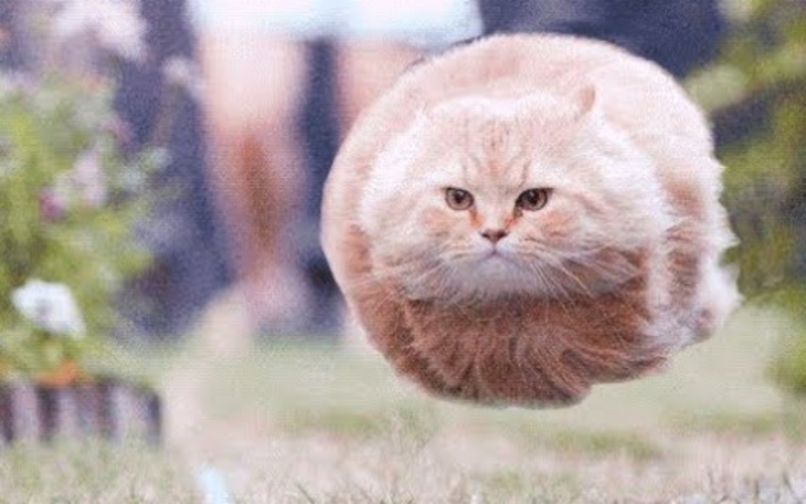 Zbiórka Laptop dla Ksawiera - zdjęcie główne