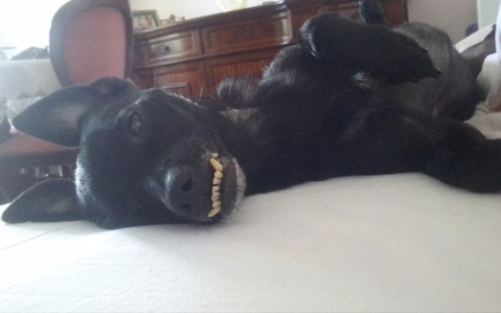 Zbiórka Oczy dla Filipka - zdjęcie główne