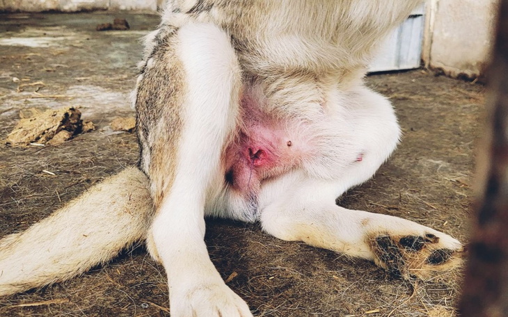 Zbiórka Aron-pomóż Nam go utrzymać - zdjęcie główne