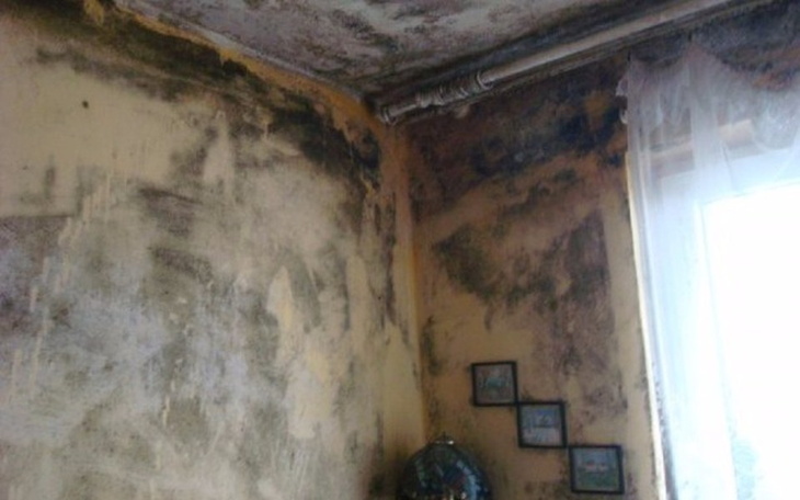 Zbiórka remont zagrzybionego pokoju - zdjęcie główne