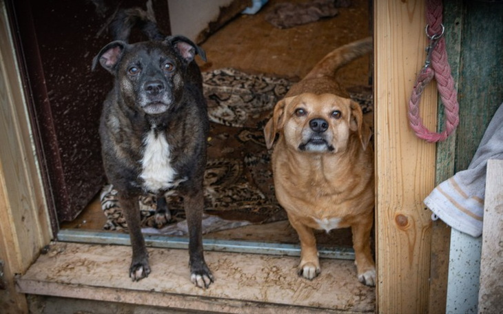 Zbiórka Dla Harbutowic na ciężkie czasy - zdjęcie główne