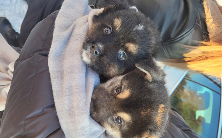 Zbiórka 4maluchy, walka o lepsie jutro - zdjęcie główne