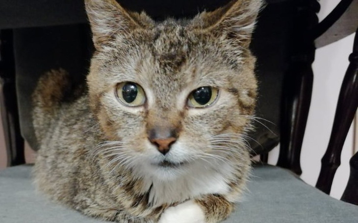 Zbiórka Nara - taka mała skarbonka - zdjęcie główne