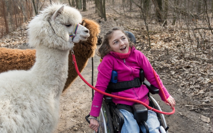 Zbiórka Nowy wózek i rehabilitacja - zdjęcie główne