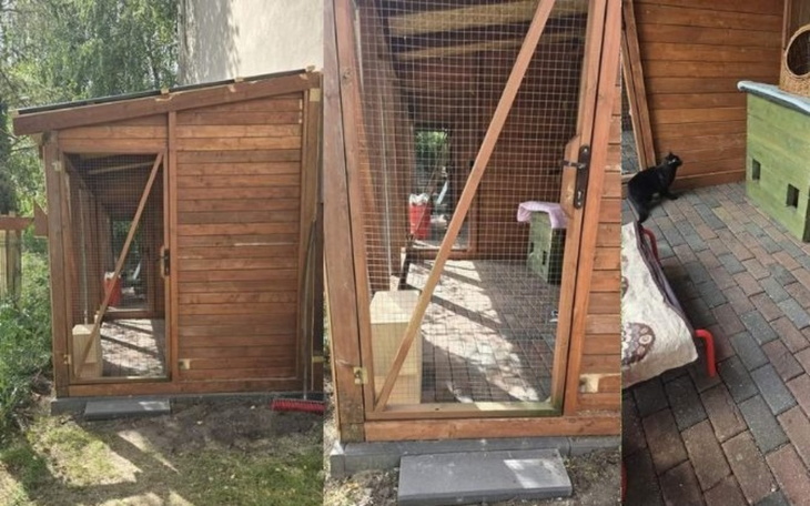 Zbiórka Zabezpieczenie woliery. - zdjęcie główne