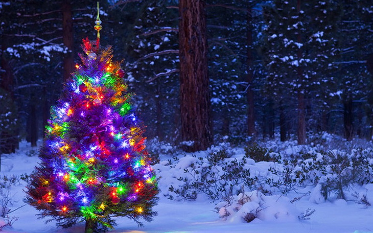 Zbiórka Na godne święta.... - zdjęcie główne