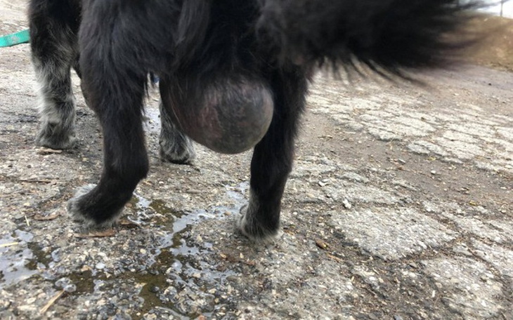 Zbiórka Leżał w rowie i czekał na śmierć - zdjęcie główne