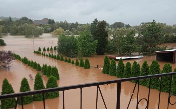 Zbiórka Pracownikom Grupy Machela - zdjęcie główne