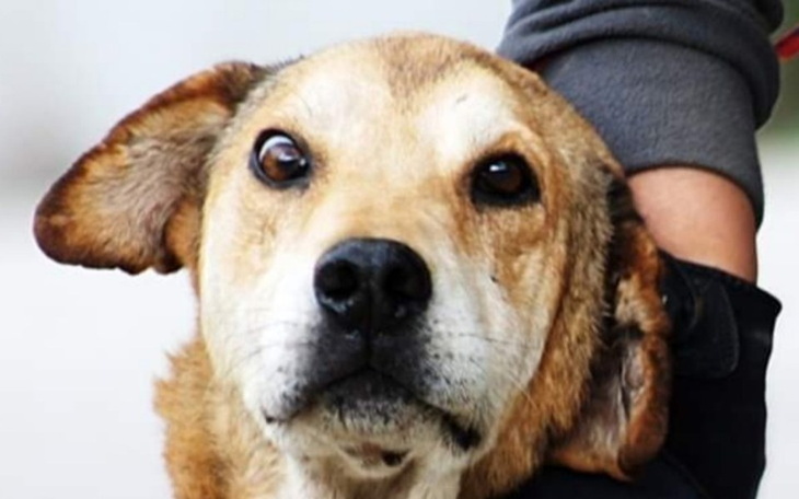 Zbiórka FLAP  droga do DOMU - zdjęcie główne