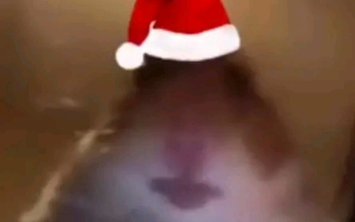 Zbiórka Zbieram na warszawę - zdjęcie główne