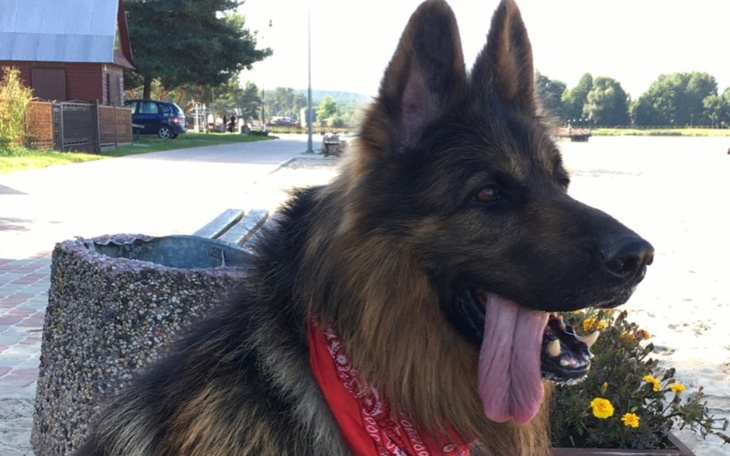 Zbiórka Pomoc dla Tajfuna - zdjęcie główne