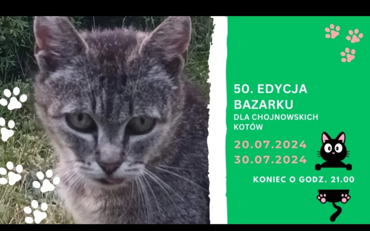 Zbiórka 50 Edycja bazarku - zdjęcie główne