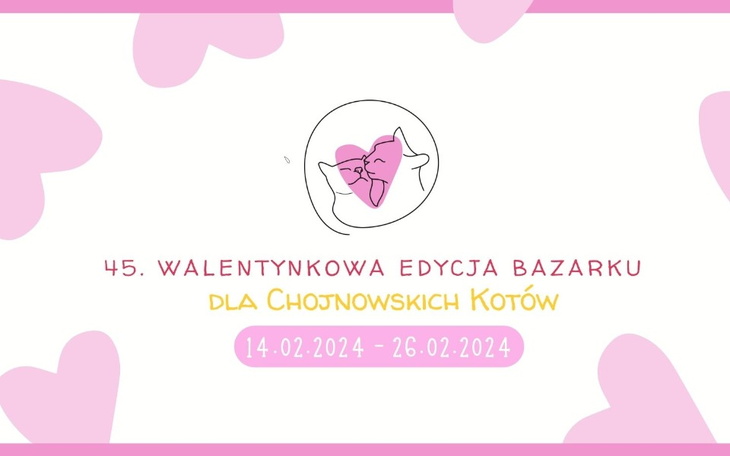 Zbiórka 45 Edycja Bazarku - zdjęcie główne