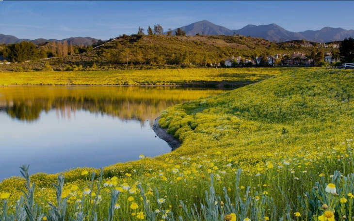 Zbiórka Na działeczkę - zdjęcie główne