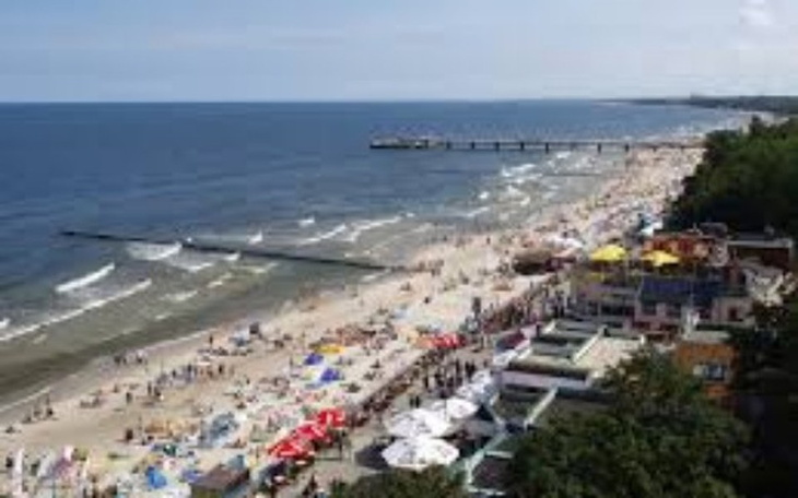 Zbiórka Odpoczynek letni - zdjęcie główne