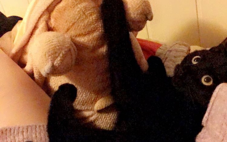 Zbiórka Model Vtubowy 2d - zdjęcie główne