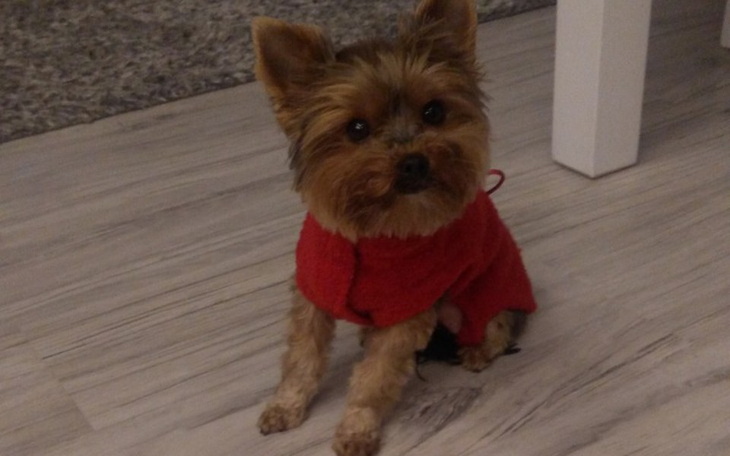 Zbiórka Milka walczy z chorobą - zdjęcie główne