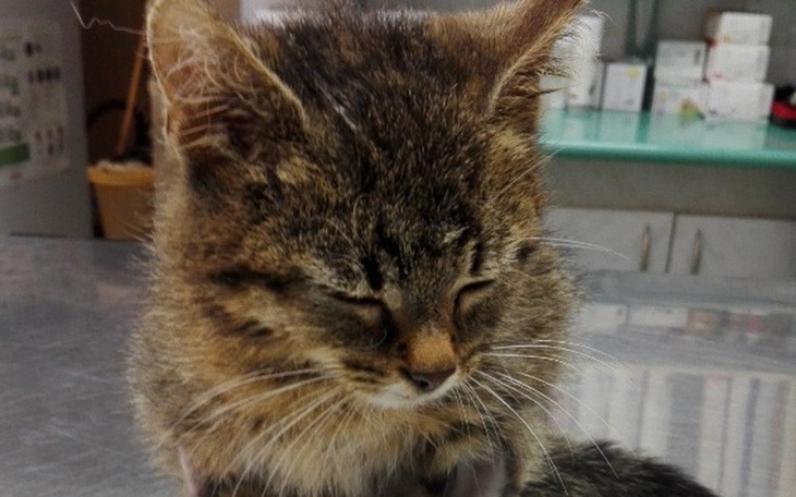 Zbiórka Nie mamy za co leczyć ! - zdjęcie główne