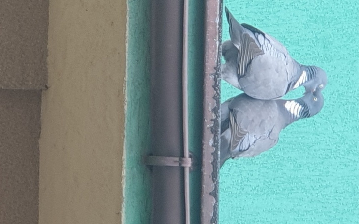 Zbiórka Na pierwszy wyjazd zagraniczny - zdjęcie główne