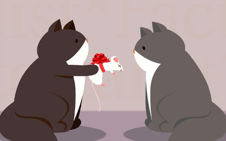 Zbiórka Prosba od dzielnej pielęgniarki - zdjęcie główne