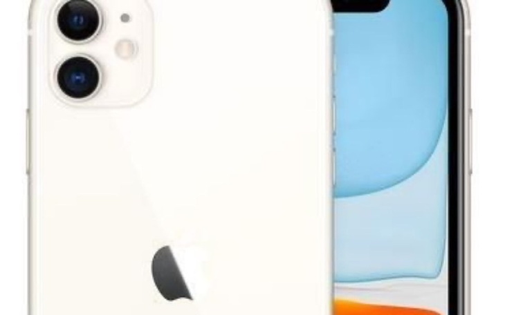 Zbiórka Ip 11 dla ZEZINY biednej istoty - zdjęcie główne