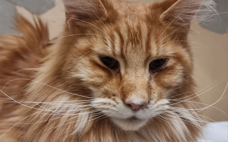 Zbiórka Wygrać życie, czy mi się uda - zdjęcie główne