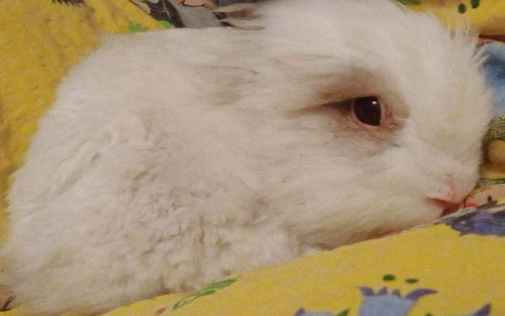 Zbiórka Leczenie Krzysia. - zdjęcie główne