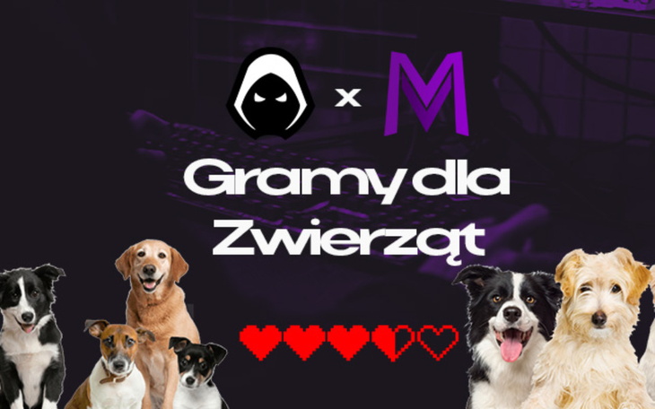Zbiórka Gramy dla zwierząt - zdjęcie główne