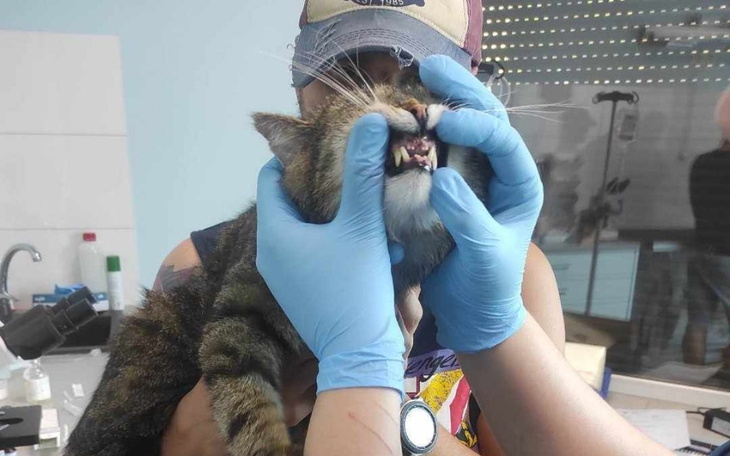 Zbiórka Etatowy dawca krwi. - zdjęcie główne