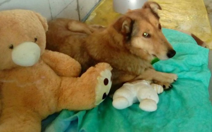 Zbiórka Nie było nic, jest Ritz!! - zdjęcie główne