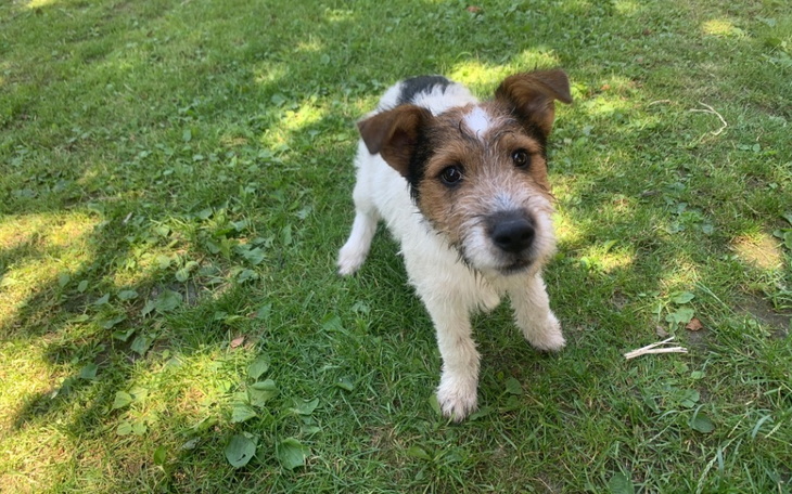 Zbiórka Pomoc w remoncie domu mamy - zdjęcie główne