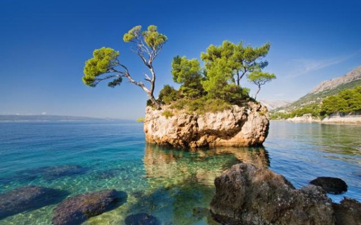 Zbiórka Pierwsze wakacje w życiu z Mamą - zdjęcie główne