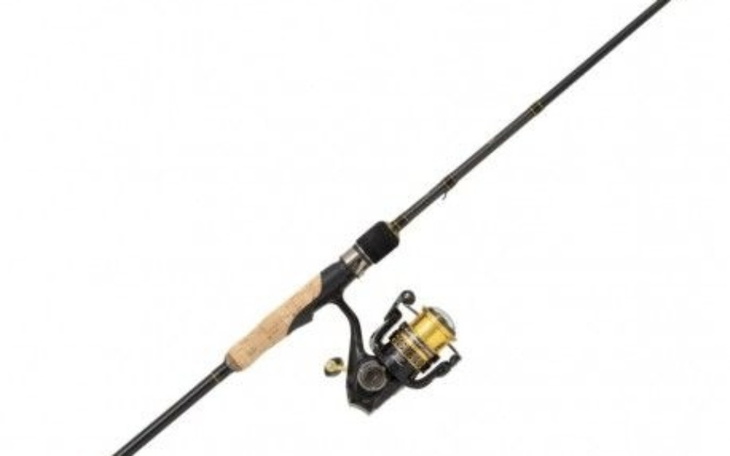 Zbiórka na kongo - zdjęcie główne