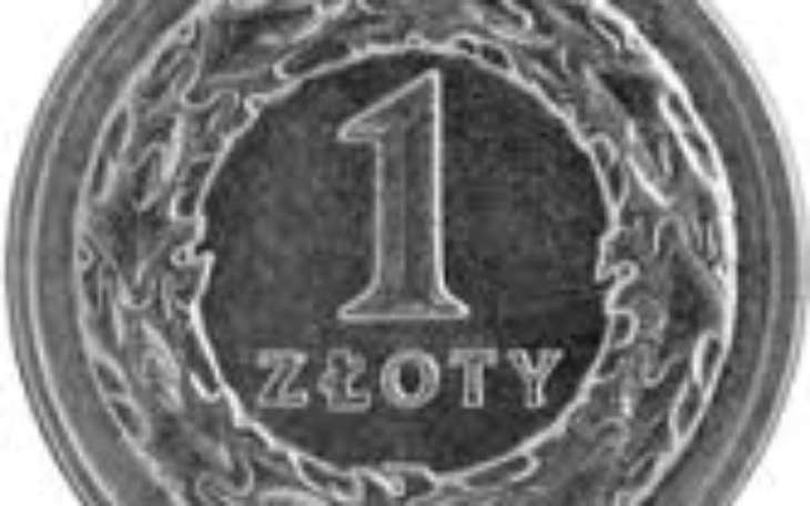 Zbiórka Złotówka postna - zdjęcie główne