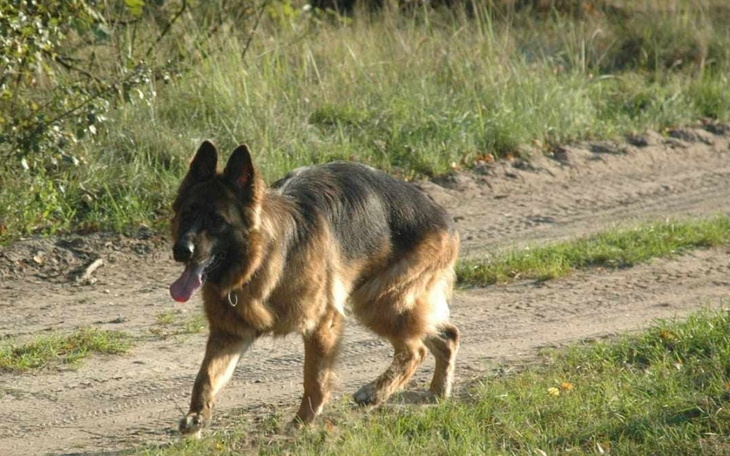 Zbiórka Bella walka z chorobą. - zdjęcie główne