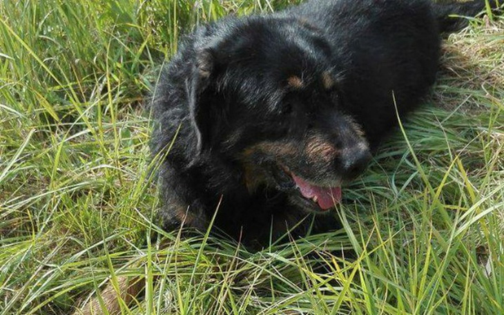 Zbiórka Porzucony Roki - zdjęcie główne