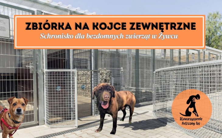 Plakat zbiórki na schronisko dla bezdomnych zwierząt.