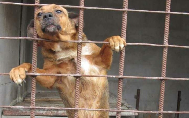 Zbiórka Bez badań umrę. - zdjęcie główne