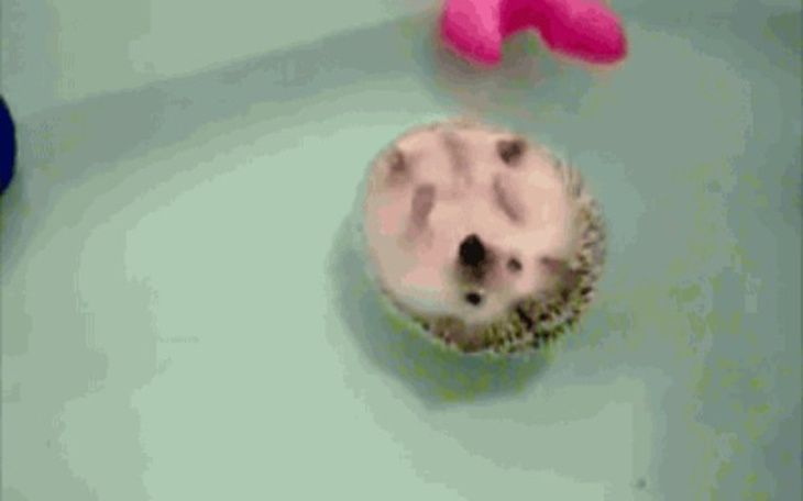 Zbiórka Na własny kąt na ziemi. - zdjęcie główne