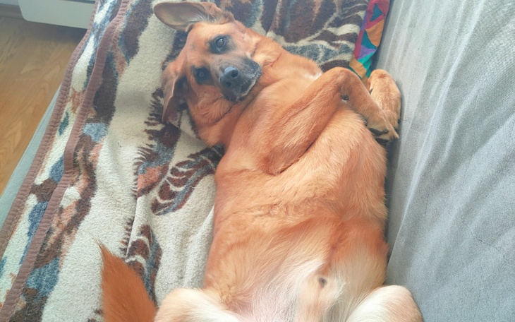 Zbiórka Opłata za Mieszkanie - zdjęcie główne